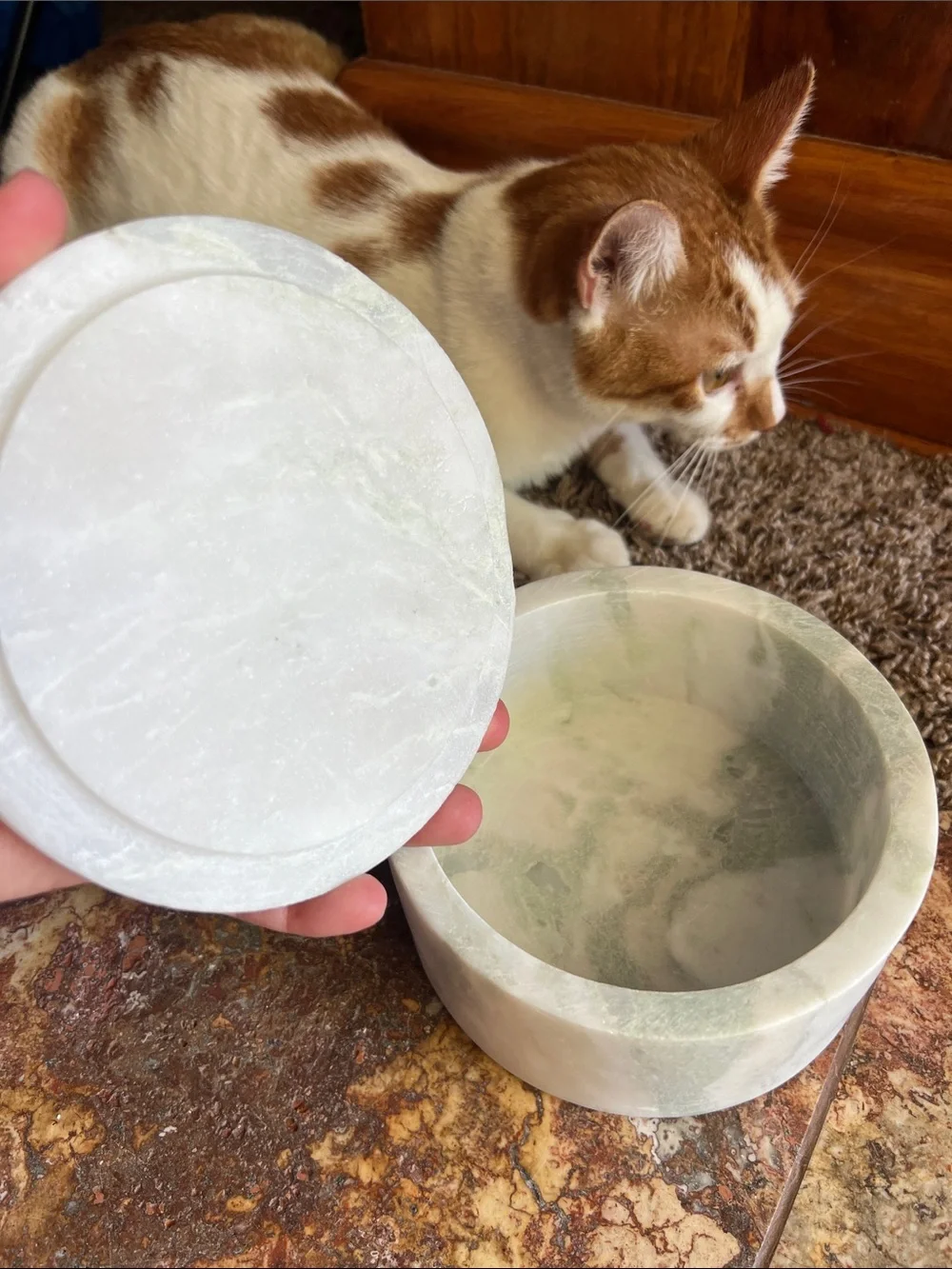 Threshold White Marble Storage Jar with Lid